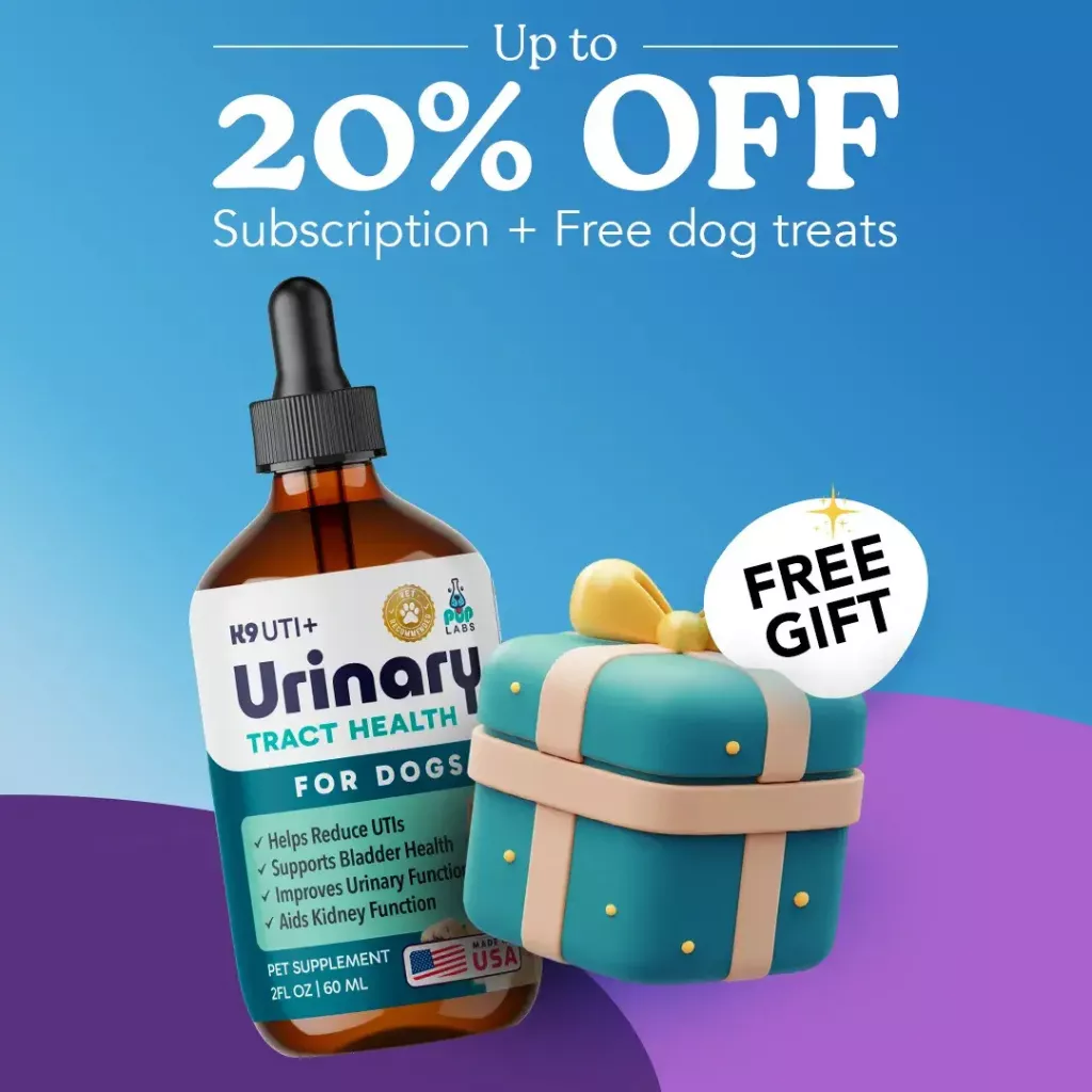 Senior Dog Supplements